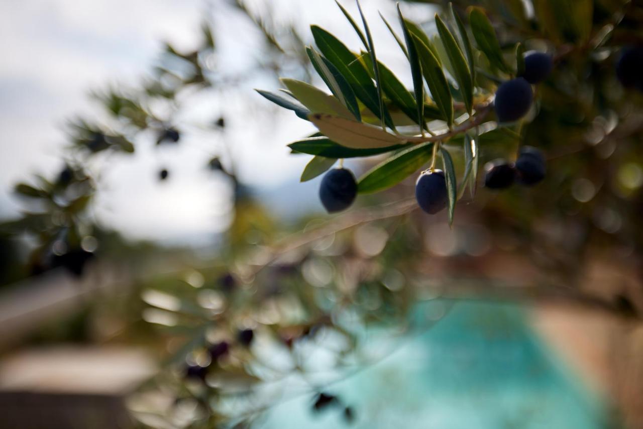 Hotel Angsana Corfu & Benitses (Corfu)